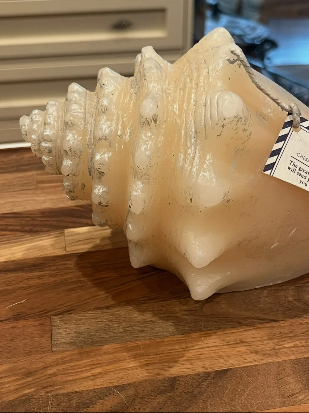 Classic Chesapeake Bay Candle co large Cream and silver Conch Shell candle. NEW!